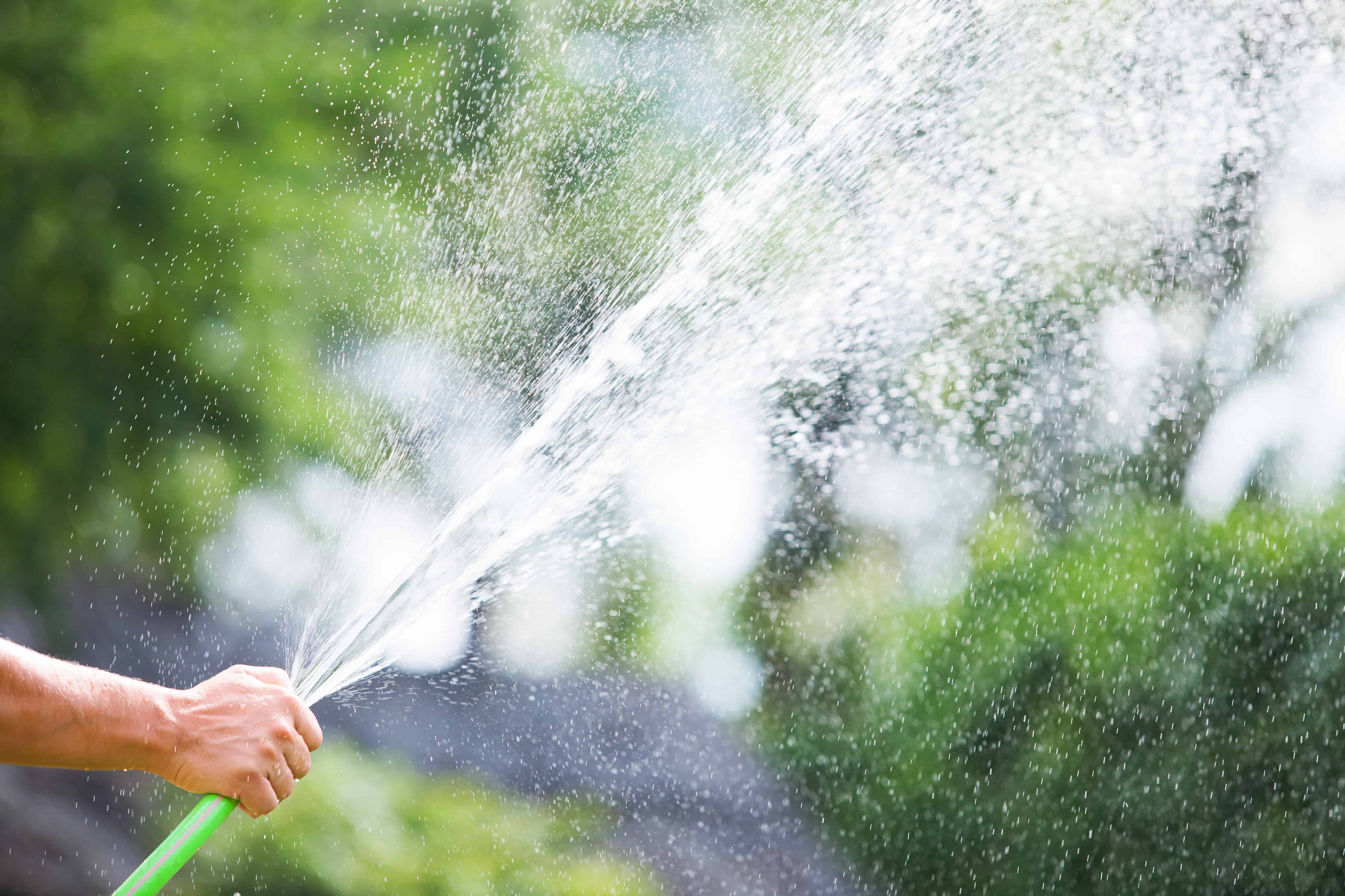 Water watering. Брызги из шланга. Брызгаются из шланга. Брызги воды из шланга. Струя из шланга.